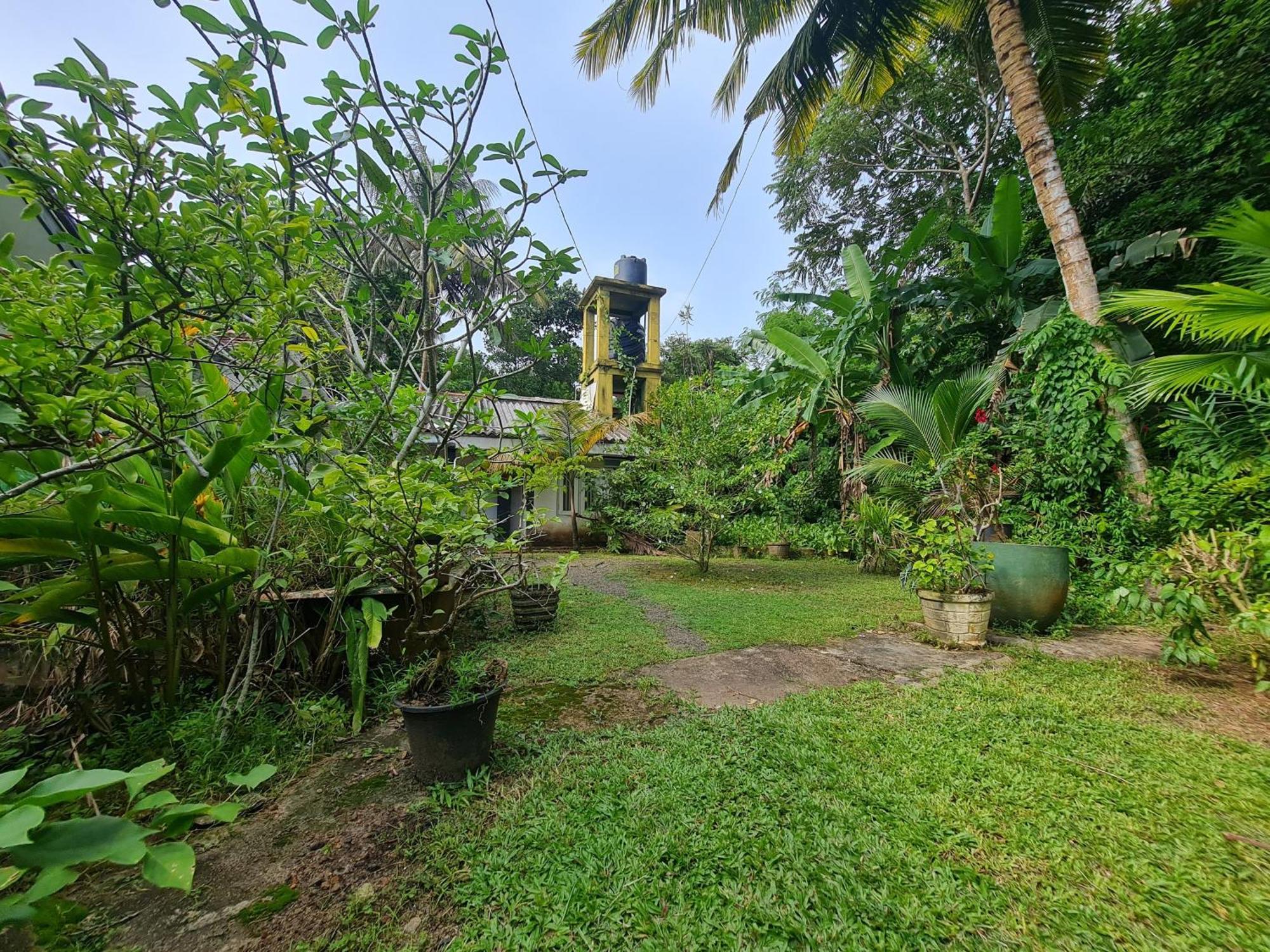 Hill Side Kings Villa Hikkaduwa Exterior foto