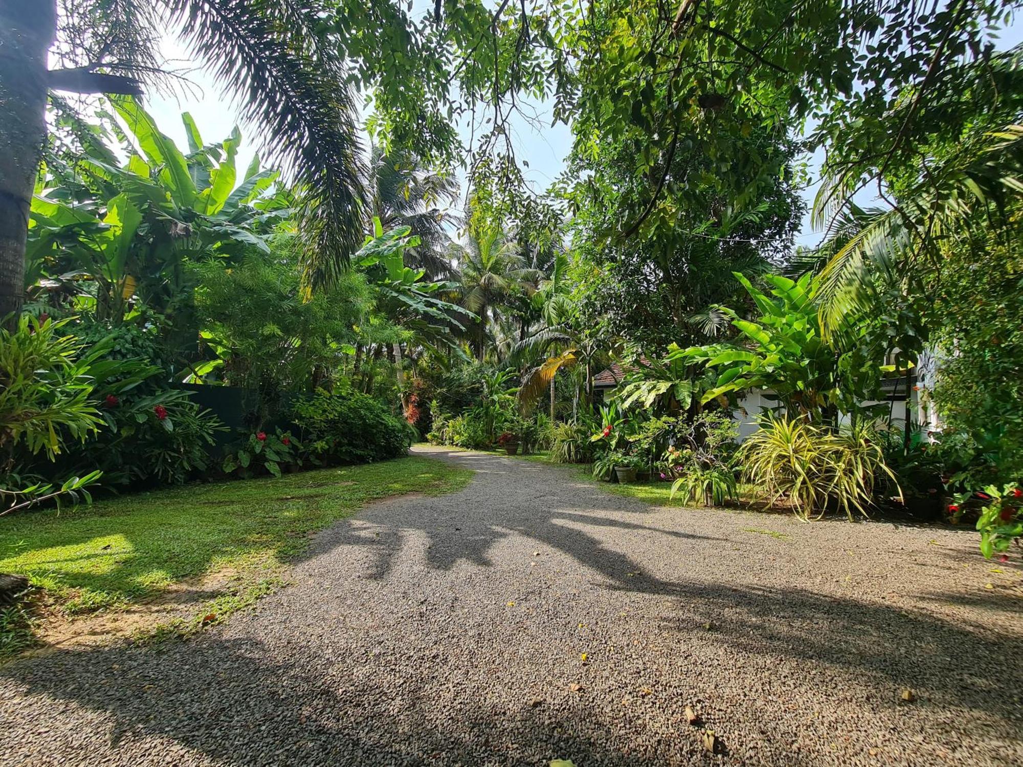 Hill Side Kings Villa Hikkaduwa Exterior foto